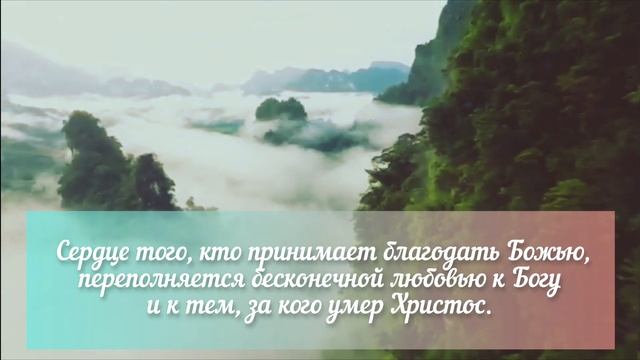 Подобно Закваске ? смотреть онлайн