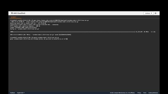 (4K) Setup Cardano Node on AWS CloudShell in 40 Seconds! смотреть онлайн