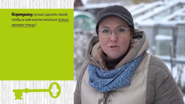Чем кормить птиц в саду Помогут от вредителей смотреть онлайн