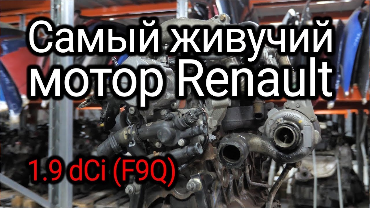 Хорош или все-таки плох? Разбираемся с проблемами Renault 1.9 dCi (F9Q) смотреть онлайн