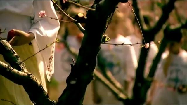 Христос воскресе радост донесе-Музички састав Ступови. смотреть онлайн