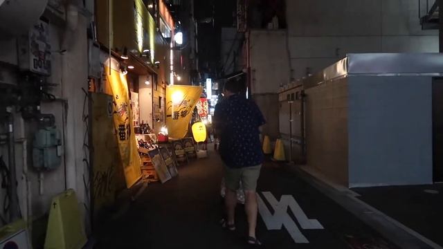 Day 14 - Osaka castle, Okonomiyaki, Aquarium & Haute cuisine смотреть онлайн