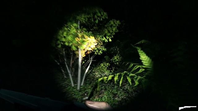 Rake (Steam Game) Gameplay смотреть онлайн