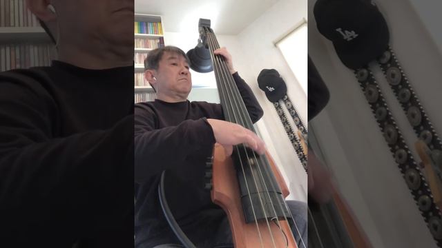 O Ganso ( Orchestra ) / Luis Bonfa & Eumir Deodato / Bass Cover смотреть онлайн