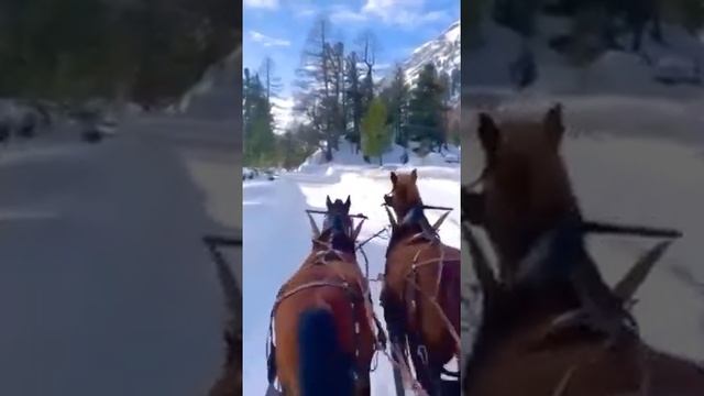 Зимняя сказка под музыку Джо Дассена ?☃️❄️❄️? смотреть онлайн