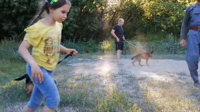 Раннее развитие защитных инстинктов смотреть онлайн