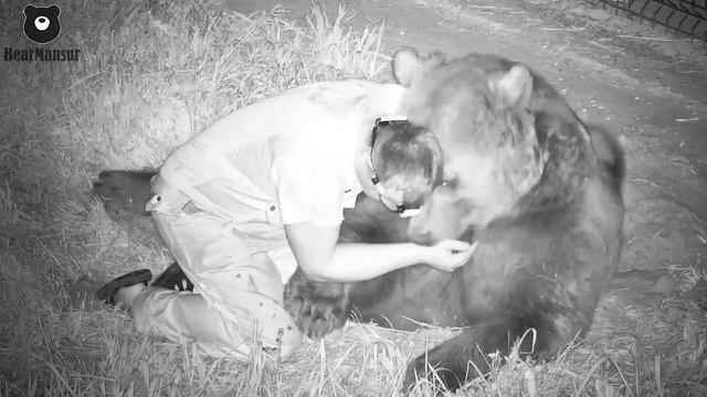 Ложись рядом будем вместе на звезды смотреть🐻💫/Bear Mansur смотреть онлайн