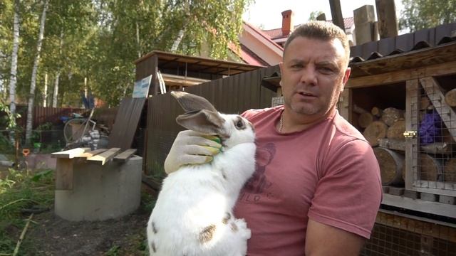 Завязываю с кролиководством смотреть онлайн