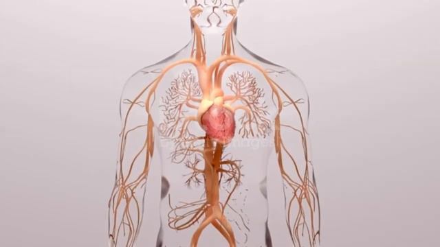 ВСЬОГО 1 ЧАЙНА ЛОЖКА КУРКУМИ В ДЕНЬ ЗБЕРЕЖЕ ВАШЕ ЗДОРОВ'Я.