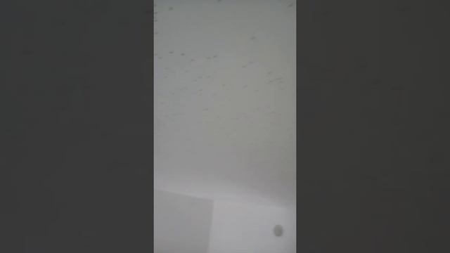 МОШКИ В БАШКИРИИ ЭТО УЖАС!!!!!! смотреть онлайн