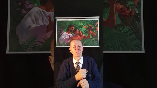 21. Правильное поведение. смотреть онлайн