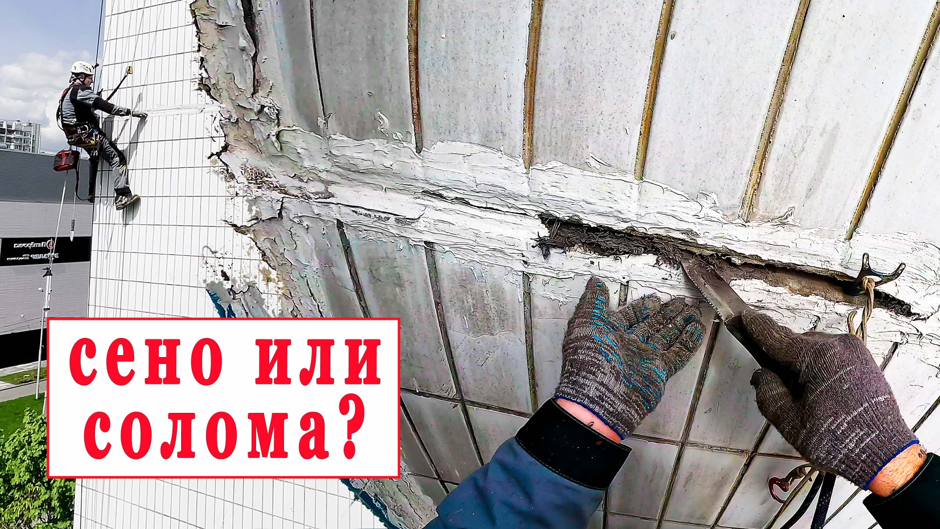 Грибок и плесень в межпанельных швах. Нужно ли делать герметизацию? смотреть онлайн