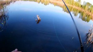 Вертушка - самая лучшая блесна. Щука на вертушку, окунь на вертушку.