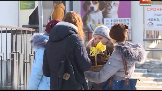 Дом для бродячей кошки за 25 $ смотреть онлайн