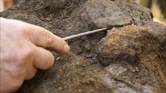 Briar Burl Preparation смотреть онлайн
