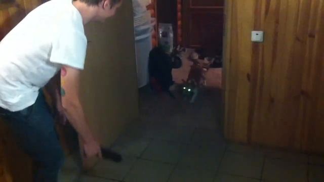 Пуля (Pulya) - Лазерные лучи против миксера смотреть онлайн