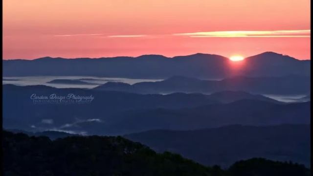 ENYA. Wild Flowers of the Mountains смотреть онлайн