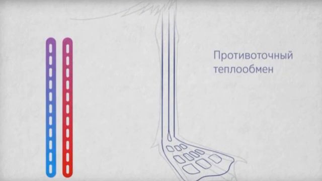 Уникальная способность распоряжаться энергией смотреть онлайн