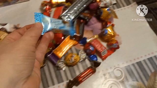 Наши будни. Барсик. Отдыхаем после праздников. смотреть онлайн