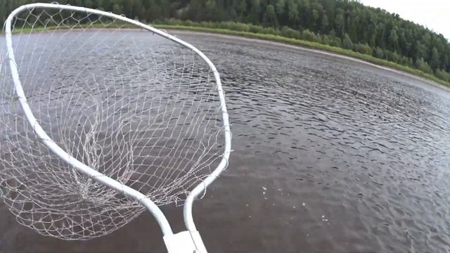 РЫБАЛКА на ОБИ 13.08.21 смотреть онлайн