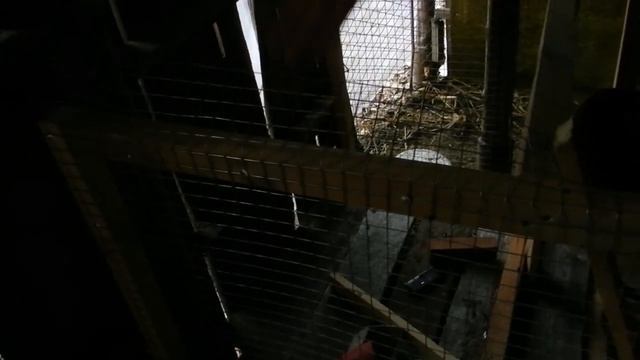 Кормушка для коз