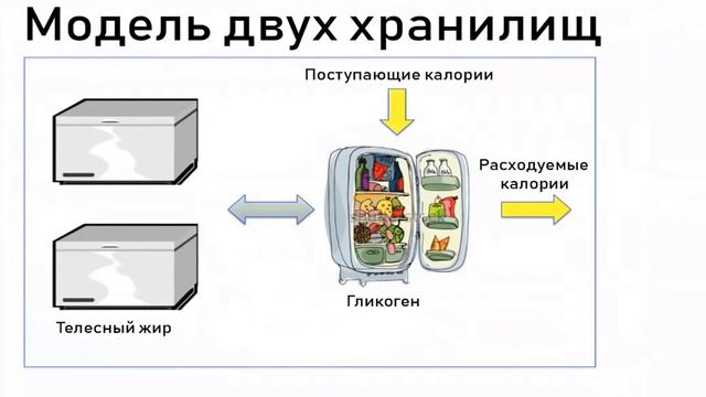 Почему инсулин- это ключ в похудении? смотреть онлайн