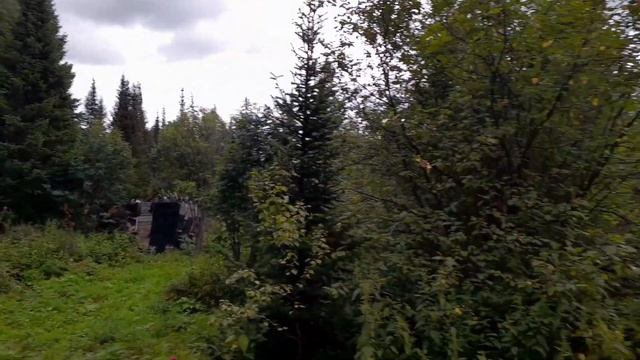 Сам по себе: Дачный архив невошедшее!!! смотреть онлайн