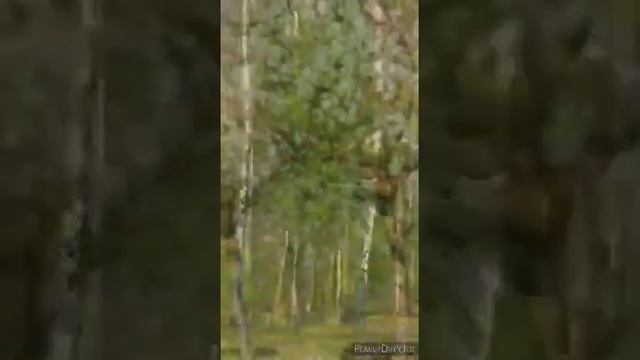 #сидимдома #школа64 Развиваемся, играя смотреть онлайн