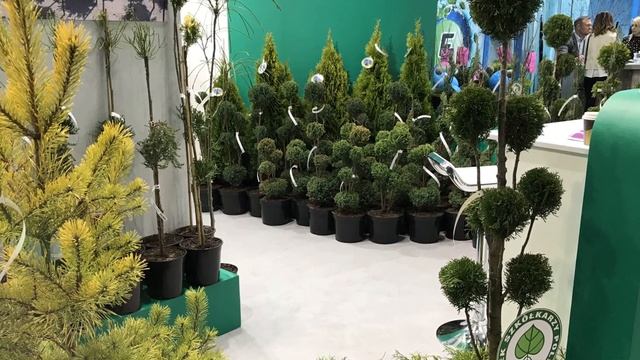 Выставка, ландшафтный дизайн | Landscape Design Exhibition