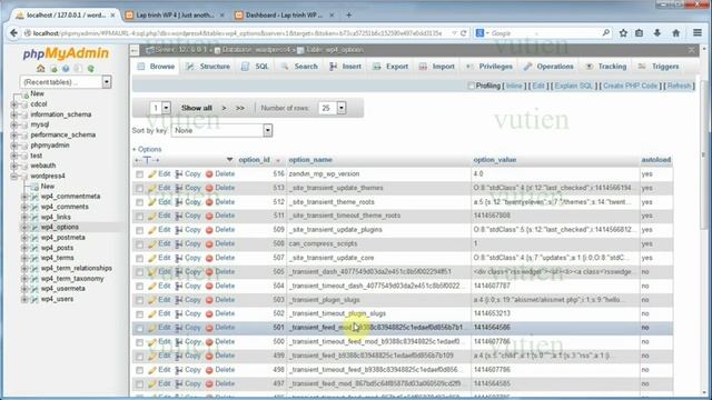 Lập Trình Wordpress 4x - Bài 29 add option смотреть онлайн