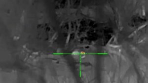 iRay scp 19w первый опыт