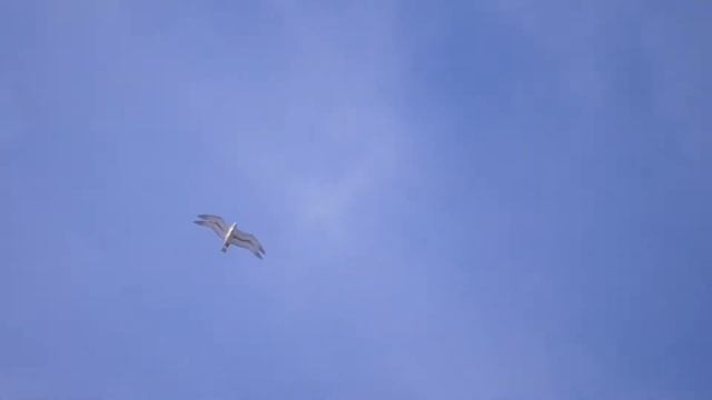 This summer смотреть онлайн