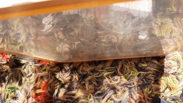 Поймал две новых ящерицы смотреть онлайн