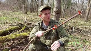 ?ПОШЛИ ПЕРВЫЕ ВЕСЕННИЕ ГРИБЫ В ПОДМОСКОВЬЕ.?СТРОЧОК ГИГАНТСКИЙ.?САРКОСЦИФА.?Заброшенный лагерь. смотреть онлайн