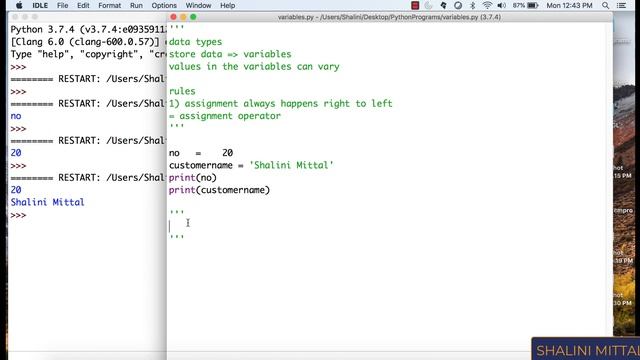 Python 05 - Variables смотреть онлайн