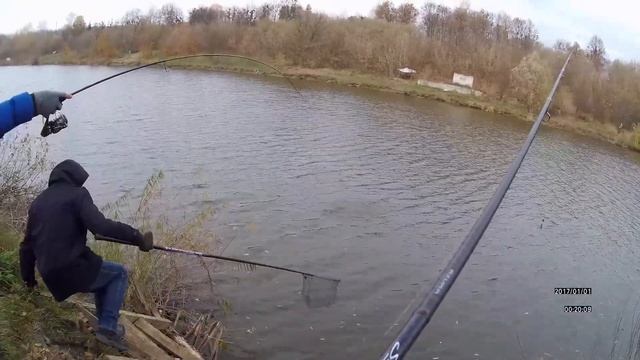 Ловля щуки и судака поздней осенью! Рыба заставила лезть в воду! смотреть онлайн