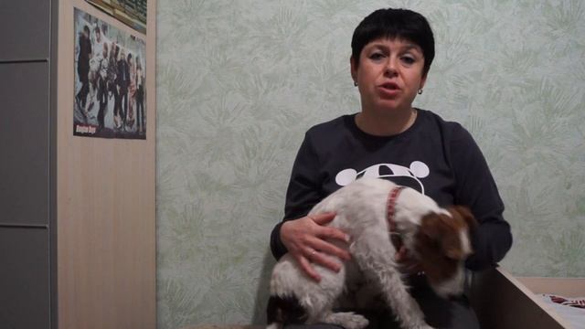 КАК ПОДОБРАТЬ КЛИЧКУ ПИТОМЦУ//ПРОСТЫЕ СОВЕТЫ смотреть онлайн