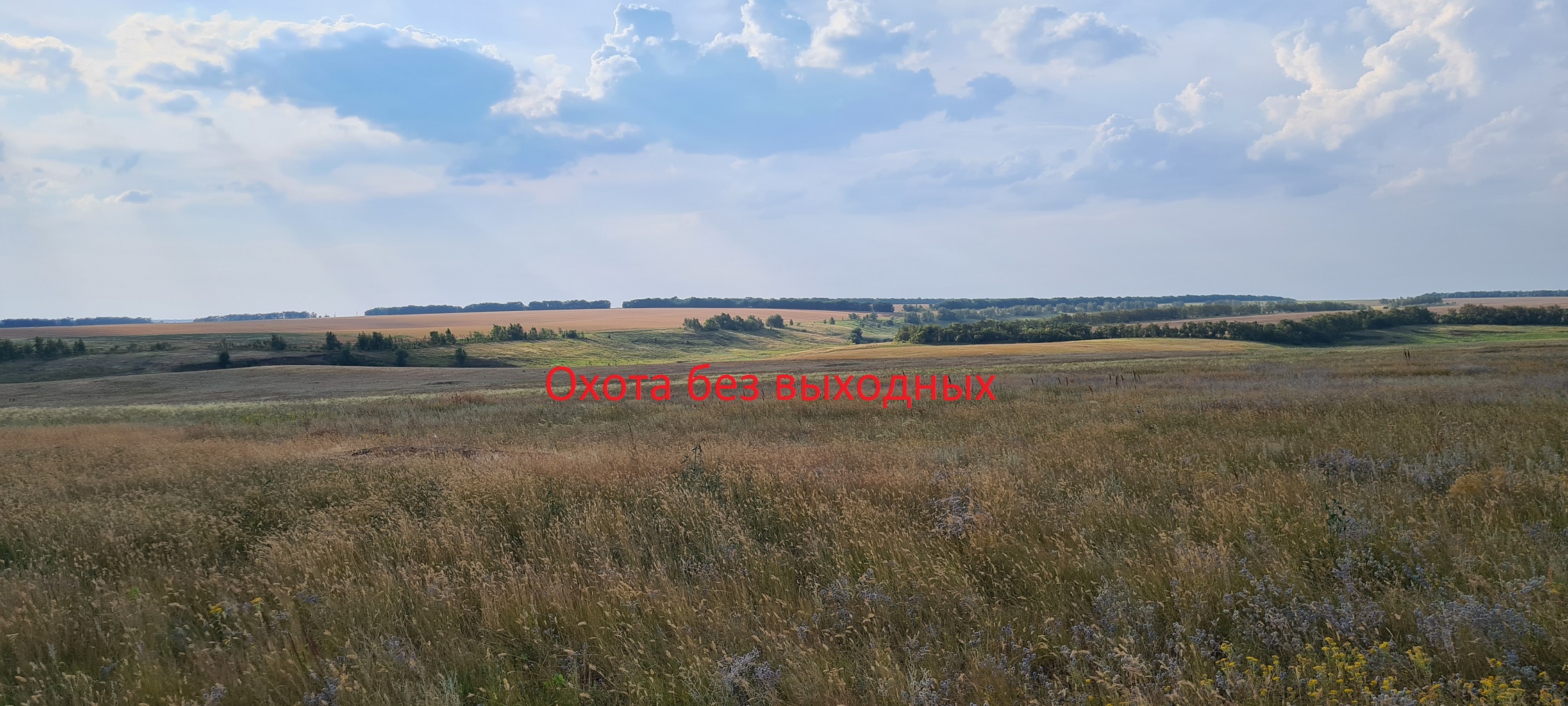 Охота на сурка.2022 Дубль. Как на ладони.mp4 смотреть онлайн