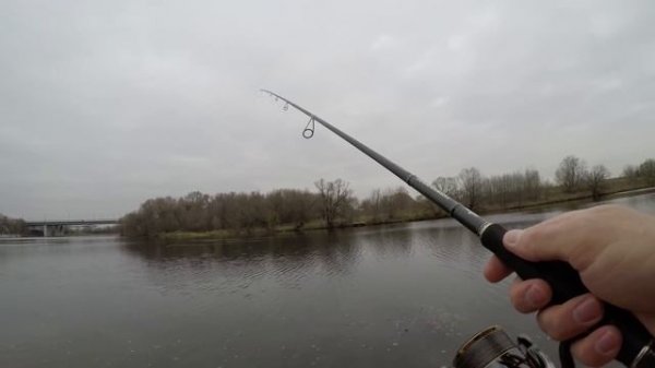 Hearty Rise Team Dubna Tournament Limited 822ML