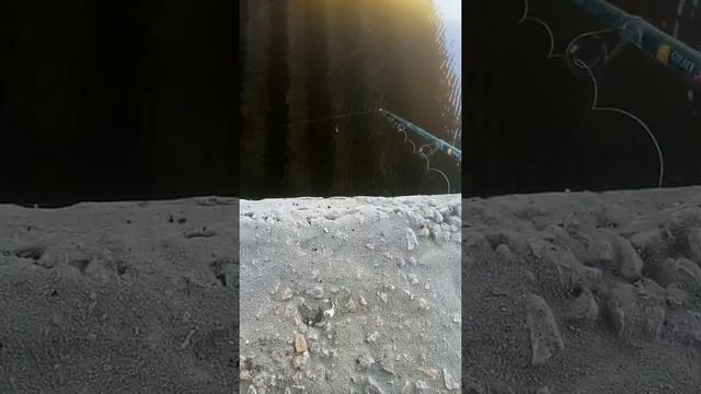 Рыбалка на жывца в Новосёловке ! смотреть онлайн