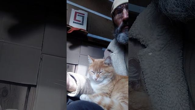 Привет, почему нет. смотреть онлайн