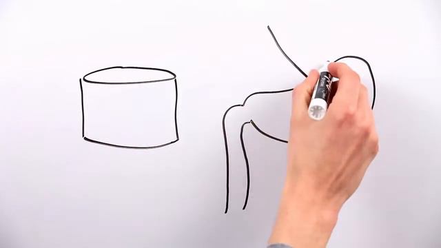 What's a Calorie? (or The Snickers Challenge) смотреть онлайн