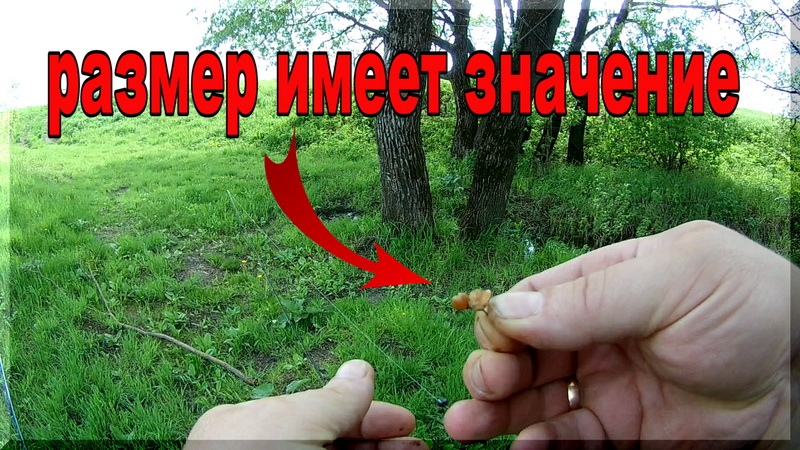 Мормышинг на пшеницу. Размер имеет значение. Рыбалка на спиннинг. смотреть онлайн