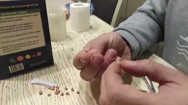 Міні плодові дерева для дому. Правда чи лохотрон смотреть онлайн