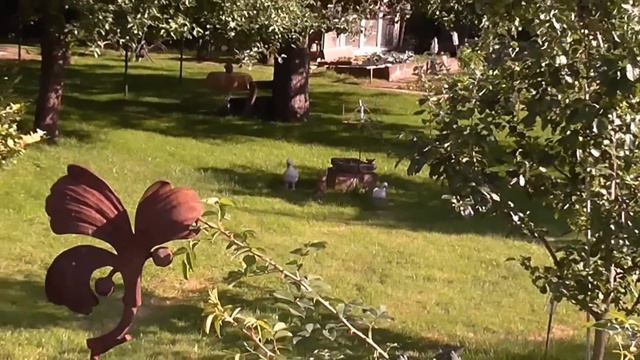 По городам и весям Германии. Ц В Е Т Ы смотреть онлайн