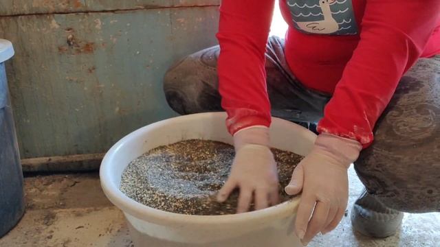 Комбикорм для бройлера "Рост" своими руками смотреть онлайн