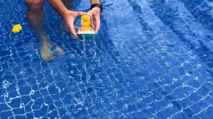 Путешествие Алисы в Тайланд: много фруктов, утята и мороженое