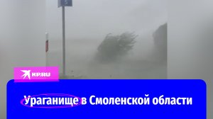Ураган пронёсся по Смоленской области