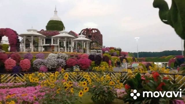 Dubai Miracle Garden. 72 000 кв.м-самый большой сад цветов в мире!!! И самый красивый!!! смотреть онлайн