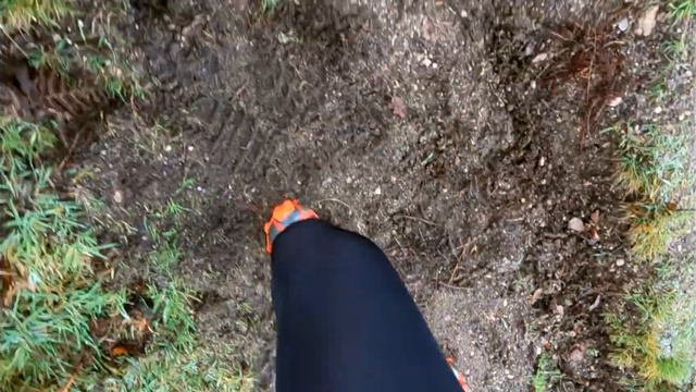 How high can a Vegan Santa fly? How much elevation can I get over 5k? смотреть онлайн
